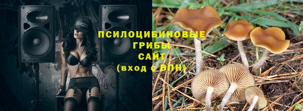 мяу мяу мука Магадан