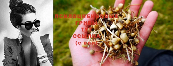 каннабис Лихославль