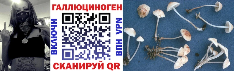 ссылка на мегу рабочий сайт  Чудово  это состав  Галлюциногенные грибы Psilocybine cubensis 